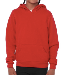 Youth Hooded Sweatshirt